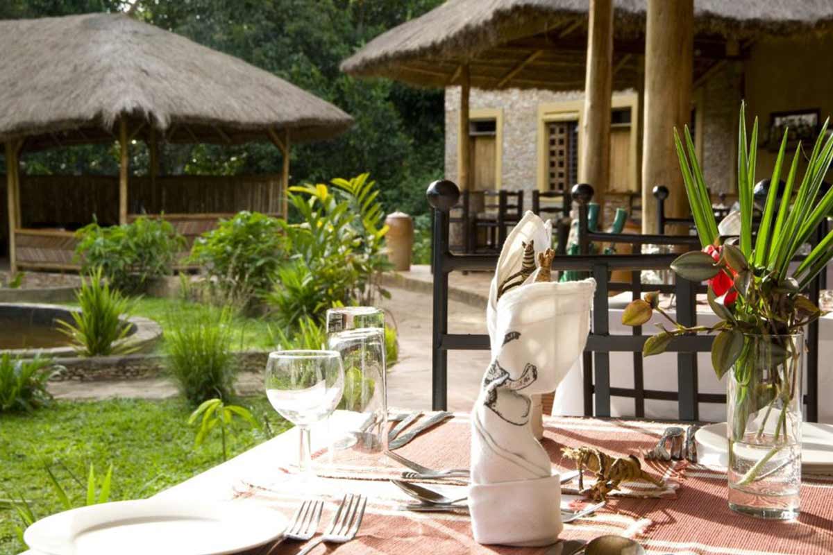 Primate Lodge - Accommodation in Kibale Forest National Park