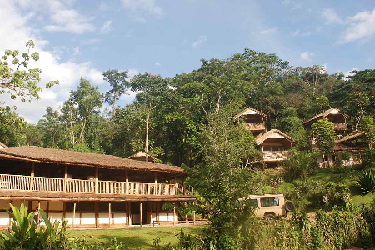 Buhoma Lodge Bwindi Impenetrable Forest