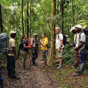 Gorilla Tracking in Bwindi Impenetrable Forest