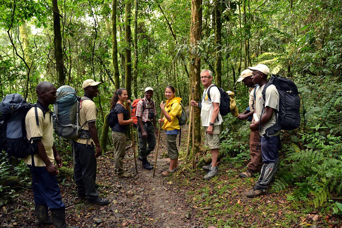 Mountain Gorilla Tracking in Bwindi Impenetrable Forest