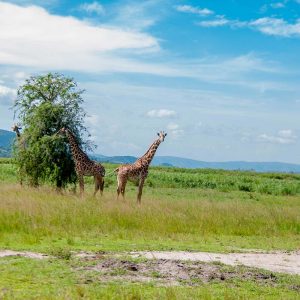Akagera National Park - Rwanda Safari Park