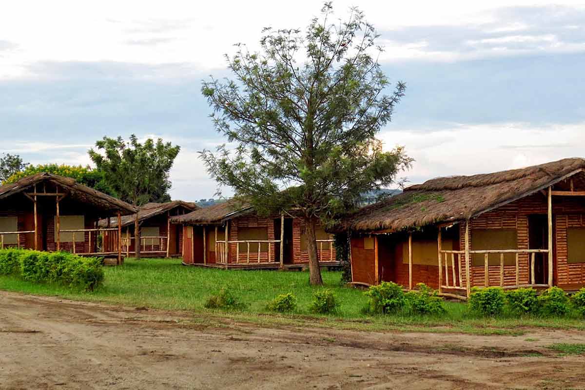 Hippo Hill Safari Lodge - Accommodation in Queen National Park